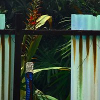 🎡 (@_0x0_oc) 's Twitter Profile Photo
