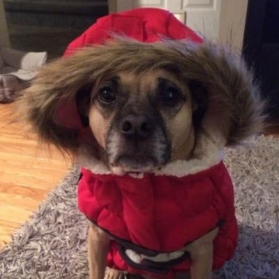 leeskiweeski's profile picture. Committed member of the control group. Believer in personal choice and bodily autonomy. Love all animals 🐈‍⬛ 🐕 #TrudeauMustGo #TrudeauHasGotToGo