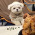 𝗆𝗂𝗄𝖺 (@miiinjin_) Twitter profile photo 𝗆𝗂𝗄𝖺 (@miiinjin_) Twitter profile photo