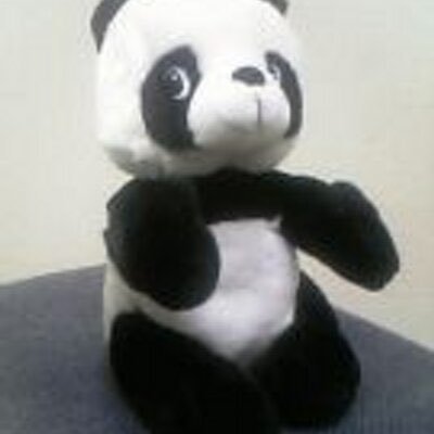 dancingpandor Profile Picture