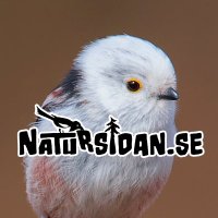 Natursidan.se(@Natursidan) 's Twitter Profile Photo