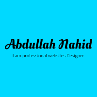 I am a professional website Designer