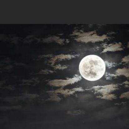 YtlpGaaTrHGObkR's profile picture. هادي محب للحياة