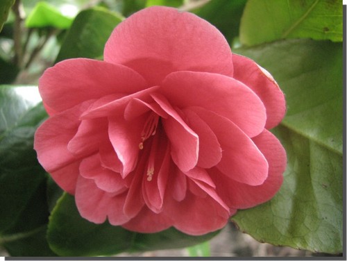 MiekPrijs's profile picture. 