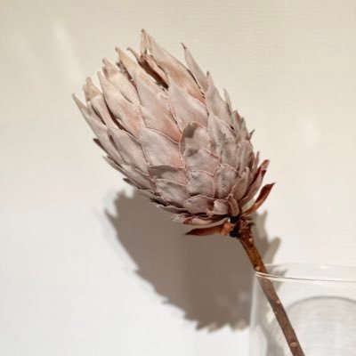 is__libm's profile picture. 