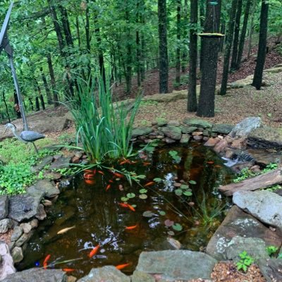 Bed & Breakfast located near Silver Dollar City overlooking Table Rock Lake