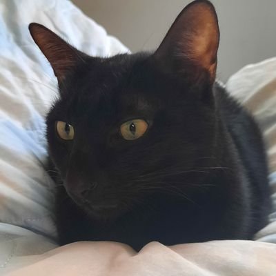20↑
中文可以、日本語下手、English a little
無言フォローすみません
