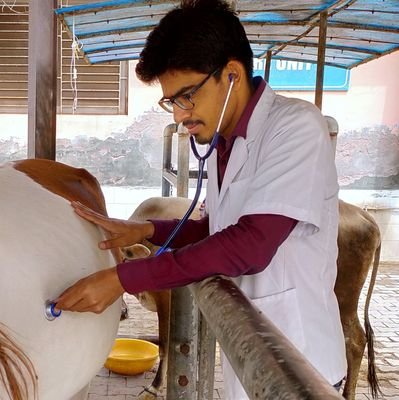 Veterinary doctor..
CVAS, Bikaner 2017 Batch