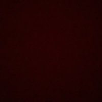 Vinicius (@vinicius_op2) 's Twitter Profile