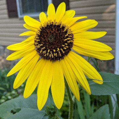 MelissaHasBooks's profile picture. I love books, Big Band, baseball and my family.