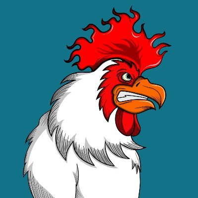METACOCKS🐓 are the keys to unlock the future of META KOMBAT and NFT BATTLES OF THE BIGGEST COCKS 🐓🥊 MINT DATE TBA 🚀🚀Powered by the CHAMPAGNE ROOM🤑