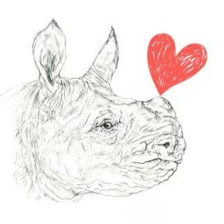 Rhino enthusiast in Japan, Stop Rhino Poaching ! 
好きで好きでたまらないサイが、角目当ての密猟のためアフリカで深刻な絶滅危機。NPO「アフリカゾウの涙」でサイの保全のための啓蒙活動をしています。サイ密猟数のサイ折り紙作りの毎日！→https://t.co/aHoQffumJn