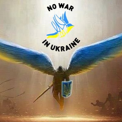 StepanDimention's profile picture. Ukraine win!
