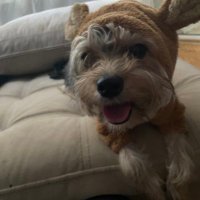 ucan kıs mia (@miakrblt) Twitter profile photo