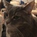 geese r so epic omg sub for birds no scam no lie (@epicmims) Twitter profile photo geese r so epic omg sub for birds no scam no lie (@epicmims) Twitter profile photo