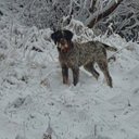 Anne Keys - @AnneKeys9 - Twitter