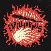 nerdangus (@nerdangus) 's Twitter Profile