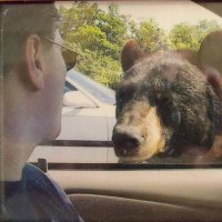 Average Joe 🇨🇦 🇺🇸 🇳🇱 🚜 🚛 (@azuri21) 's Twitter Profile Photo Average Joe 🇨🇦 🇺🇸 🇳🇱 🚜 🚛 (@azuri21) 's Twitter Profile Photo