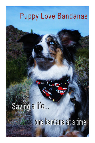PuppyLoveBandan's profile picture. At Puppy Love Bandanas we’re committed to helping save animals, 1 bandana (or accessory) at a time!
