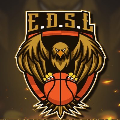 Elite Dynasty Sports League