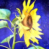 Jane Tomlinson - Artist 🌻⭐️(@JaneSunflower) 's Twitter Profile Photo