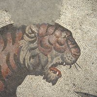 🇺🇸🤝🇺🇦 (@lastlight___) 's Twitter Profile