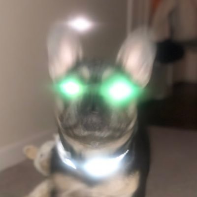 BRianeeezy's profile picture. imago Dei 🪞