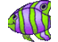 lophipps's profile image