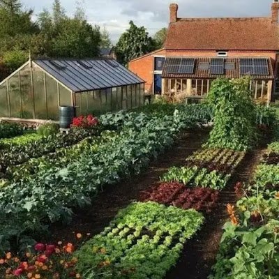 ASadovye's profile picture. Мастер маникюра