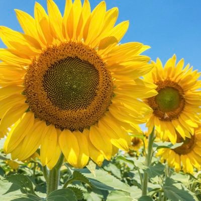 MotriaProcyk's profile picture. 