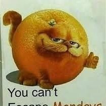 offensivepeepee's profile picture. I am an offensive peepee, chancellor of piss and proud cum boy