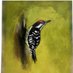 GusRobin (@blackdownbirder) Twitter profile photo GusRobin (@blackdownbirder) Twitter profile photo