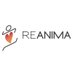 Reanima (@reanima_cat) Twitter profile photo Reanima (@reanima_cat) Twitter profile photo