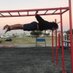 Aneme🇿🇦 Back Lever Boi💪🏾 (@datcalidon) Twitter profile photo Aneme🇿🇦 Back Lever Boi💪🏾 (@datcalidon) Twitter profile photo
