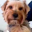 John Rowley - @JohnRowley3 - Twitter