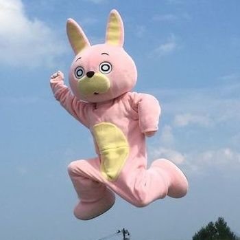 ヌル 눌さんのプロフィール画像