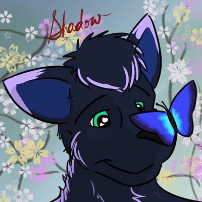 24 gay babyfur and  my daddy is @AzurinEchranath 18+ please also married to the wonderful @banditsbork
https://t.co/qj1EzumKvv 🟦☁️