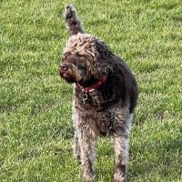 Jeff Forshaw (@jeffforshaw) 's Twitter Profile