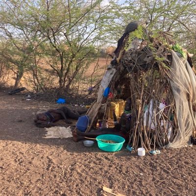 johneyanae5's profile picture. Turkana needy childrens home community based org ( WEQNT Head of Operations in Africa)