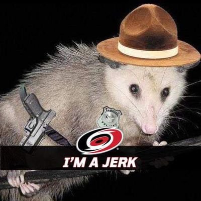 rangergreg281's profile picture. My hovercraft is full of eels.