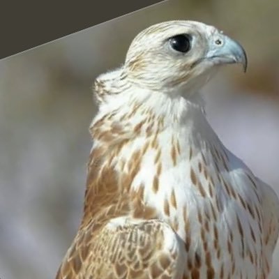 سبحان الذي سخر لنا هذا وما كنّا له مقرنين