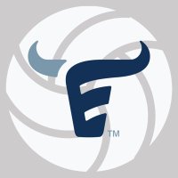 Emerson HS volleyball (@ehsmavs_vb) 's Twitter Profile