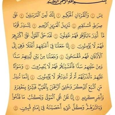 PapaBabacarDia4's profile picture. Je m'appelle Babacar j'habite au Sénégal je suis un élève