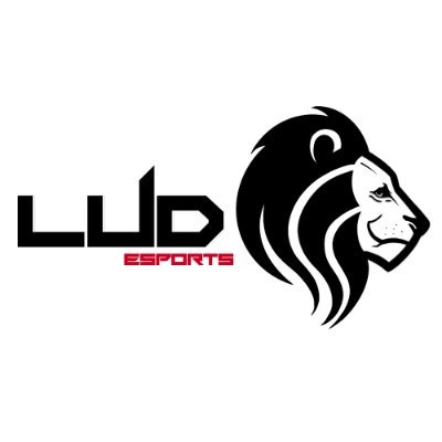 LUD_ESPORTS Profile Picture