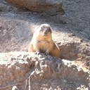 Jason Benner - @citizenbrane - Twitter