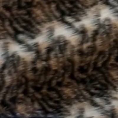 leonardwhite557's profile picture. 