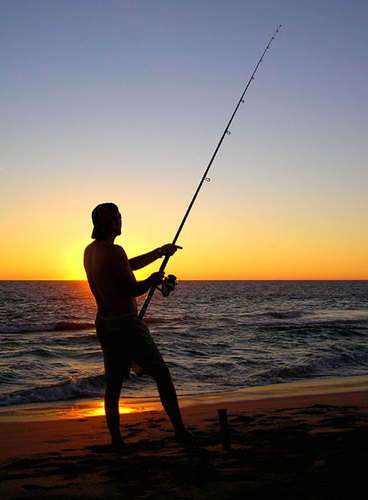 International Fishing Rod Designer & Sales