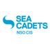 NSO CIS (@nsocis) Twitter profile photo