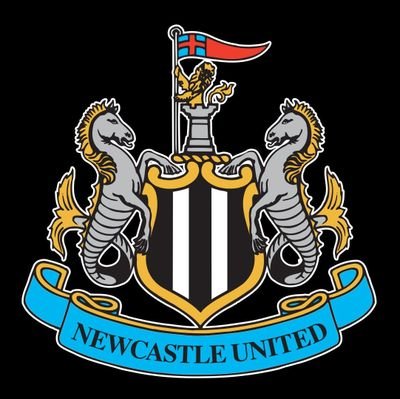 Newcastle United FC supporter from across the pond 🖤🤍