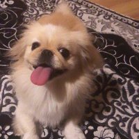 Başak (@basakerdogn) 's Twitter Profile